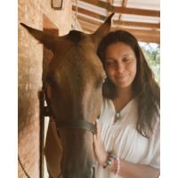 Conexión con caballos