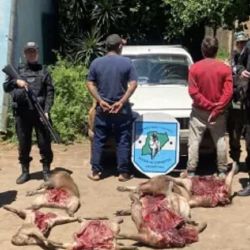 Los sujetos fueron atrapados mientras circulaban por la Ruta 14.