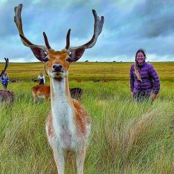 Diferentes puntos de la provincia de Buenos Aires para hacer trekking.