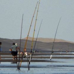 Tres Arroyos listo para recibir con sus playas y su calma a los turistas del verano 2025.