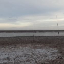 Cabeza de Buey es fija para los pescadores de la zona, no solo por las negras que están en plena temporada sino también por la buena variada que se da en la zona, con mucho pejerrey, pescadillas y bagres.