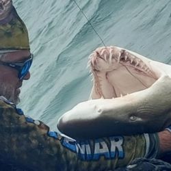 Embarcados la línea de las 2 millas de la costa paga bien para la variada, una zona con fondos duros, lombrizales y cangrejales llenos de vida. 