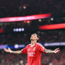 El centrocampista argentino del Benfica Angel Di Maria reacciona durante el partido de fútbol de la fase de liga de la Liga de Campeones de la UEFA entre el SL Benfica y el Bolonia FC 1909 en el Estadio da Luz de Lisboa. | Foto:PATRICIA DE MELO MOREIRA / AFP