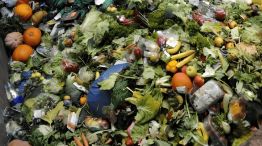 Caba: las verdulerías desperdician 50 mil kilos por día.
