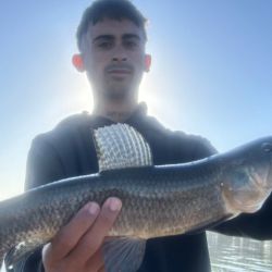 1312_mapa_pique_pesca