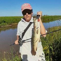 Los tamaños de las taruchas no son destacados, pero se nota que, por la voracidad, en un tiempo no muy lejano serán más importantes en este recuperado paraje.