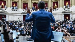 Martín Menem, reelegido en Diputados.