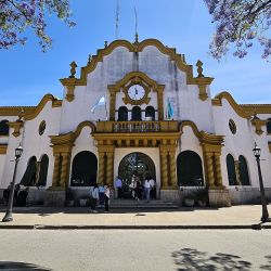 Hay mucho para hacer en una escapada a Chascomús, ubicada apenas a 120 km de CABA.