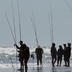 Una soberbia extracción que permitió al experimentado cañófilo de General Cerri llevarse los $ 3.000.000 que la organización premiaba al ganador, siendo Andino un abonado a los primeros puestos en este tipo de eventos.