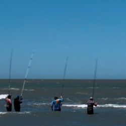 Una soberbia extracción que permitió al experimentado cañófilo de General Cerri llevarse los $ 3.000.000 que la organización premiaba al ganador, siendo Andino un abonado a los primeros puestos en este tipo de eventos.