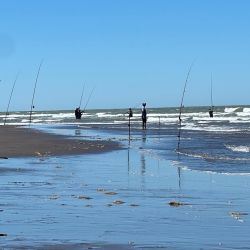 Una soberbia extracción que permitió al experimentado cañófilo de General Cerri llevarse los $ 3.000.000 que la organización premiaba al ganador, siendo Andino un abonado a los primeros puestos en este tipo de eventos.