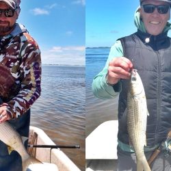 Abundancia de dorados en la Cuenca del Plata, la chance del peje sigue latente en las lagunas y una increíble variada en el mar. 