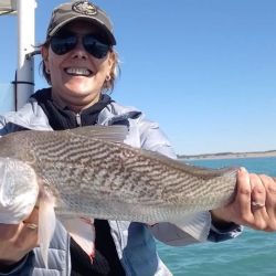 Abundancia de dorados en la Cuenca del Plata, la chance del peje sigue latente en las lagunas y una increíble variada en el mar. 