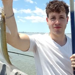 Abundancia de dorados en la Cuenca del Plata, la chance del peje sigue latente en las lagunas y una increíble variada en el mar.
