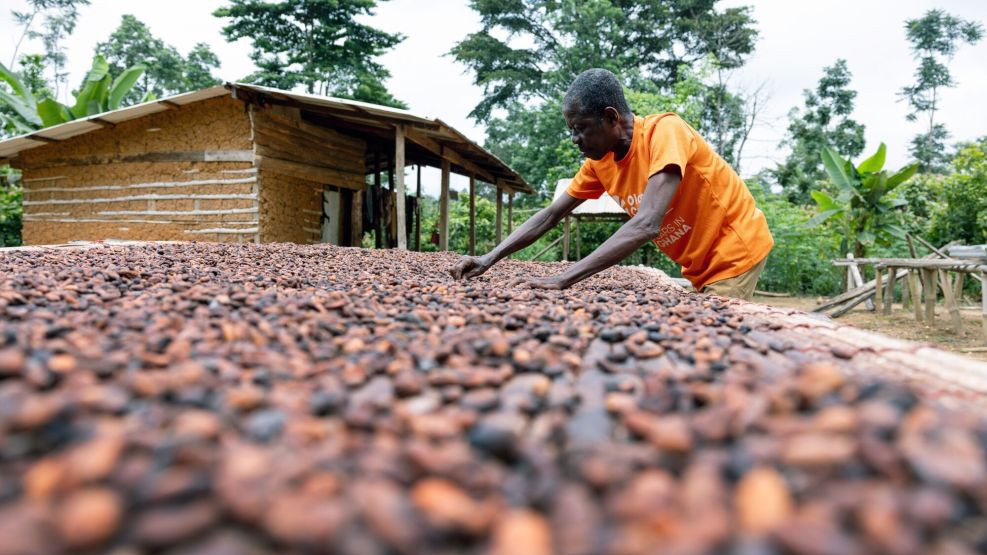 African Cocoa Harvest Might Improve But Your Chocolate Prices Won’t