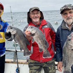 Los limones son la estrella, pero la abundancia de meros, chernías y salmones convierten a Mar del Plata en un paraíso para el pescador.