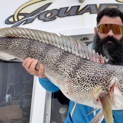 Los limones son la estrella, pero la abundancia de meros, chernías y salmones convierten a Mar del Plata en un paraíso para el pescador.