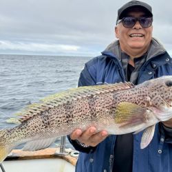 Los limones son la estrella, pero la abundancia de meros, chernías y salmones convierten a Mar del Plata en un paraíso para el pescador.