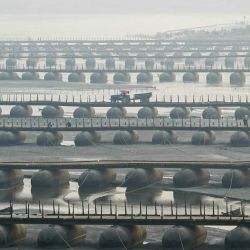Un trabajador conduce un tractor a través del puente flotante sobre las orillas del río Ganges, antes del festival Maha Kumbh Mela en Prayagraj, India. | Foto:MONEY SHARMA / AFP
