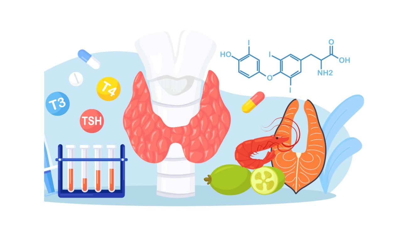 LOS 3 SISTEMAS ORGÁNICOS QUE ASEGURAN BUENA SALUD