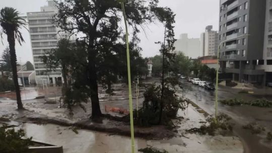 A un año del temporal que azotó a Bahía Blanca, homenajearon a las víctimas con un emotivo acto