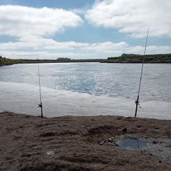 Se trata de un destino que hoy paga muy bien con la pesca variada, con muchas carpas de todo tamaño, bagres, moncholos y, en puntos específicos, la chance de muy buenas lisas, la figurita difícil y la más buscada. 