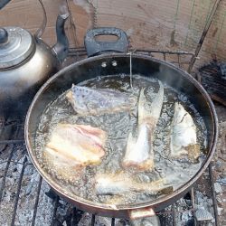 Se trata de un destino que hoy paga muy bien con la pesca variada, con muchas carpas de todo tamaño, bagres, moncholos y, en puntos específicos, la chance de muy buenas lisas, la figurita difícil y la más buscada. 
