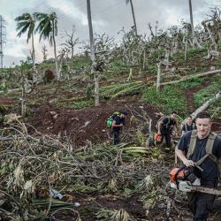 Esta fotografía tomada y difundida por la Securité Civile francesa muestra a miembros de la Securité Civile caminando con motosierras entre árboles talados y vegetación en un lugar no revelado en el territorio francés de Mayotte en el océano Índico, a raíz del ciclón Chido. Actualmente, se ha confirmado que 21 personas han muerto a causa del ciclón Chido cuando azotó el archipiélago, ya que las autoridades temen que se confirme la muerte de cientos, y posiblemente incluso miles, una vez que se revele la verdadera magnitud del número de víctimas después de que se limpien los escombros y se desbloqueen las carreteras. | Foto:Handout / Securité Civile / AFP