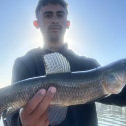 A solo 110 km de Capital tenemos la chance de dar con tres especies que son un imán para los pescadores.