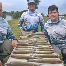 A solo 110 km de Capital tenemos la chance de dar con tres especies que son un imán para los pescadores.