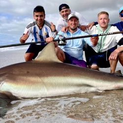 La buena pesca de escualos se mantiene en esta rendidora playa del partido de Villa Gesell.