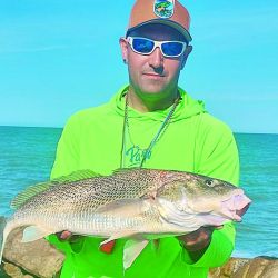 Las primeras corvinas ya están  dando qué hablar pese a que la historia recién comienza y el pez elefante pisó fuerte en toda la costa.