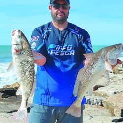 Las primeras corvinas ya están  dando qué hablar pese a que la historia recién comienza y el pez elefante pisó fuerte en toda la costa.