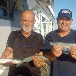 2012_mapa_pique_pesca