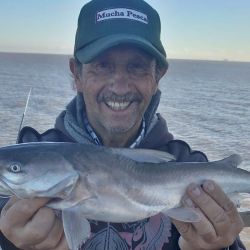 Los buenos rendimientos se deben mayormente a los buenos caudales de agua que presentó el estuario rioplatense durante el fin de semana y a comienzos de la misma, cuando los vientos estuvieron soplando del sector sur, sudeste y sudoeste.