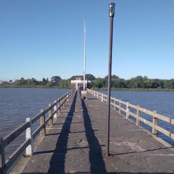 Los buenos rendimientos se deben mayormente a los buenos caudales de agua que presentó el estuario rioplatense durante el fin de semana y a comienzos de la misma, cuando los vientos estuvieron soplando del sector sur, sudeste y sudoeste.