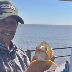Los buenos rendimientos se deben mayormente a los buenos caudales de agua que presentó el estuario rioplatense durante el fin de semana y a comienzos de la misma, cuando los vientos estuvieron soplando del sector sur, sudeste y sudoeste.