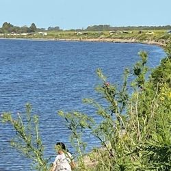 Clásicas especies de río como grandes carpas conviven con otros de origen marino en este calificado pesquero.