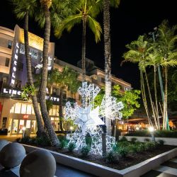 Miami comenzó el invierno del hemisferio norte con las celebraciones navideñas y muchas novedades.