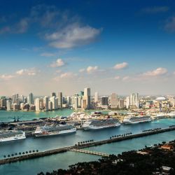 Miami comenzó el invierno del hemisferio norte con las celebraciones navideñas y muchas novedades.