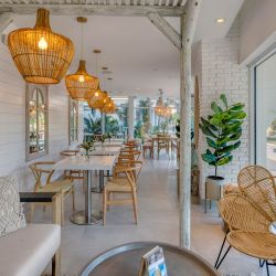 Miami comenzó el invierno del hemisferio norte con las celebraciones navideñas y muchas novedades.