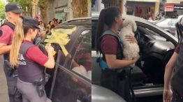 Rescate de dos perros encerrados en autos