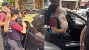 Rescate de dos perros encerrados en autos