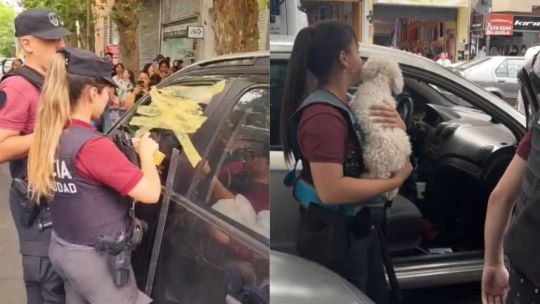 Más perros encerrados en autos: la Policía debió rescatar a dos rompiendo vidrios en Flores