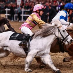 Las jóvenes jockeys Fiona Smith (izq.), Ellie Day (centro) y Fleur Smith (der.) compiten en el Shetland Pony Grand National en la arena principal del London International Horse en el ExCel de Londres. | Foto:HENRY NICHOLLS / AFP