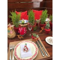 Victoria Randazzo le da magia de la Navidad a través de la decoración de eventos