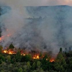 La campaña busca concientizar a la población sobre la importancia de prevenir los incendios.