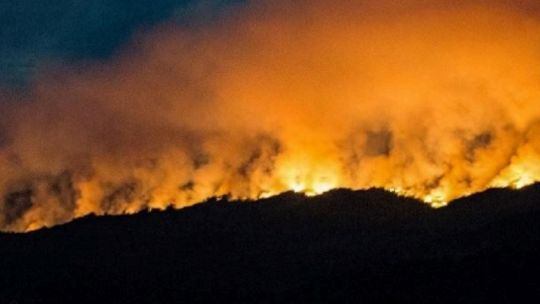 Relanzan campaña para prevenir los incendios en la Patagonia