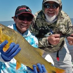 Con aguas calmas y en bajante, el dorado se siente más cómodo para cazar y tomar los engaños.