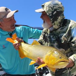 Con aguas calmas y en bajante, el dorado se siente más cómodo para cazar y tomar los engaños.